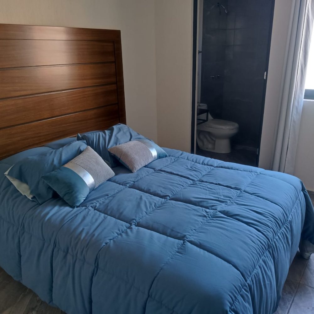 interior-casa-nueva-1-planta-celaya-zona-norte