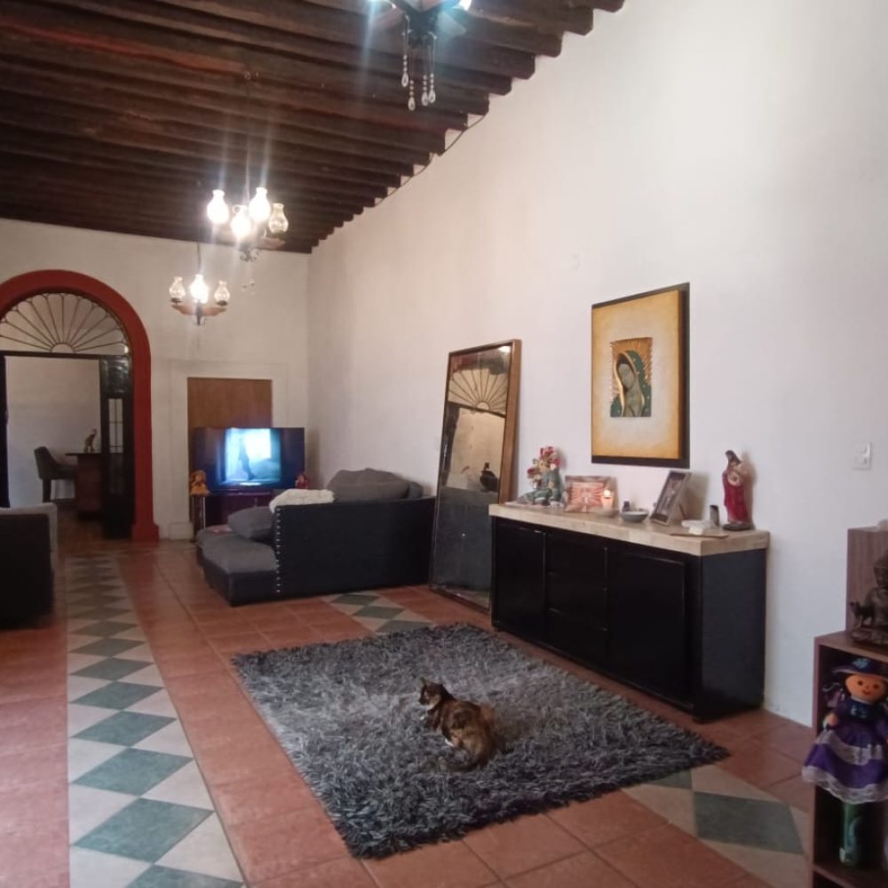 sala-amplia-casa-centro-celaya