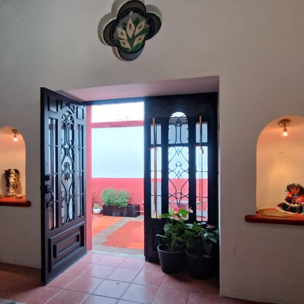 puertas-herreria-casa-patrimonial-celaya