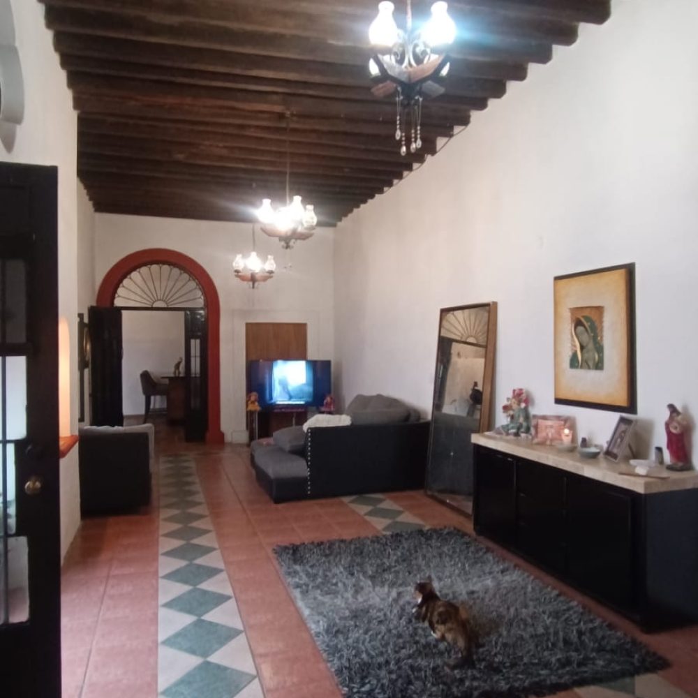 techos-vigas-madera-casa-celaya
