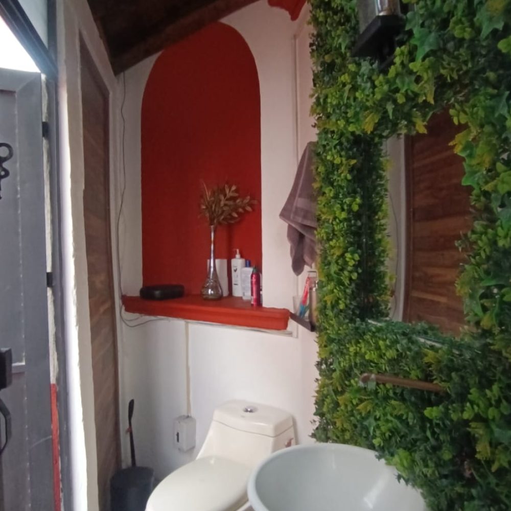 sala-casa-historica-en-venta-celaya